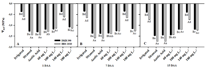 Leaf water potential at noon ψmd, during the stress application of two drought contrasting hybrids (DKB 390 and BRS 1010) subjected to the different treatments. The averages followed by the same letter do not statistically differ from each other. Uppercase letters denote comparisons between genotypes, and lowercase letters denote comparisons between treatments within the same genotype by the Scott-Knott test at a 5% significance level (p &le; 0.05). 