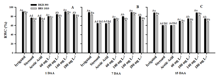 Relative water content (RWC %), during stress application on two drought contrasting hybrids (DKB 390 and BRS 1010) subjected to several CHT treatments. The averages followed by the same letter do not statistically differ from each other. Uppercase letters denote comparisons between genotypes, and lowercase letters denote comparisons between treatments within the same genotype according to the Scott-Knott test at a 5% significance level (p &le; 0.05). 