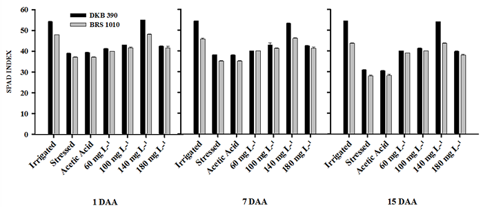 Chlorophyll index during the stress application on two drought contrasting hybrids (DKB 390 and BRS 1010) with and without different CHT application doses. The averages followed by the same letter do not statistically differ from each other. Uppercase letters denote comparisons between genotypes, and lowercase letters denote comparisons between treatments within the same genotype by the Scott-Knott test at a 5% significance level (p &le; 0.05).