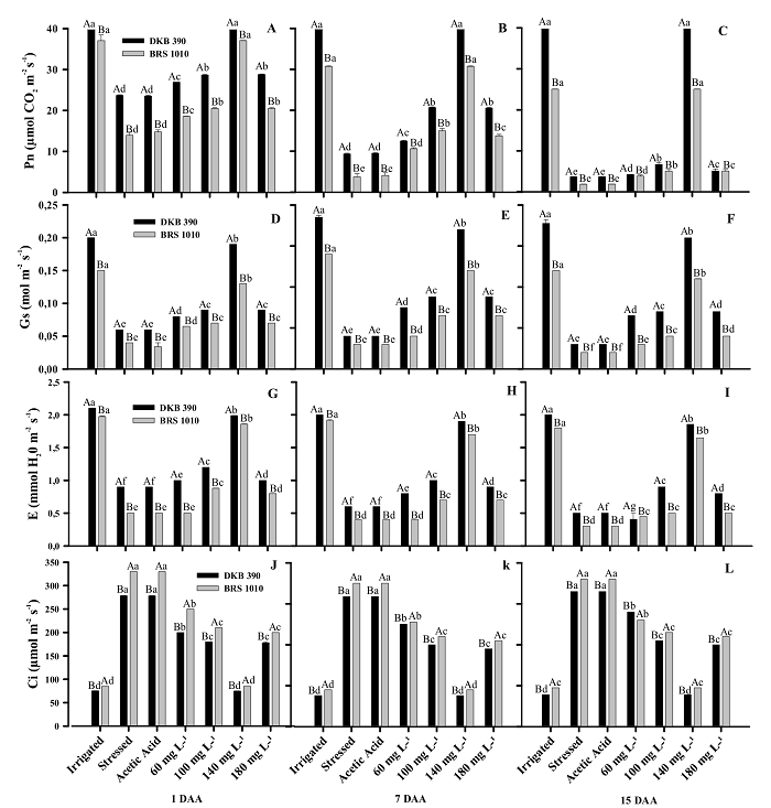 Gas exchange parameters during stress application on two drought contrasting hybrids (DKB 390 and BRS 1010) subjected to the various treatments, Pn (photosynthetic rate, A and B), gs (stomatal conductance, D, E, and F), E (perspiration rate, G, H, and I), and Ci (internal carbon, J, K, and L). The averages followed by the same letter do not statistically differ from each other. Uppercase letters denote comparisons between genotypes, and lowercase letters denote comparisons between treatments within the same genotype by the Scott-Knott test at a 5% significance level (p &le; 0.05).