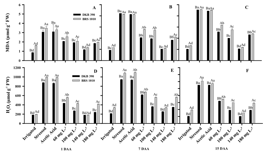 Malondialdehyde content (MDA) (A, B, and C) and H2O2 (D, E, and F) during the stress application on two drought contrasting hybrids (DKB 390 and BRS 1010) subjected to several treatments. The averages followed by the same letter do not statistically differ from each other. Uppercase letters denote comparisons between genotypes, and lowercase letters denote comparisons between treatments within the same genotype by the Scott-Knott test at a 5% significance level (p &le; 0.05). 