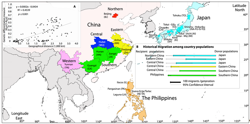 A. Regression between the genetic differentiation measure (RST /(1-RST ) and the geographical distance (Mantel, 1967) between pairs of 18 rice-infecting populations of Rhizoctonia solani AG-1 IA from China, Japan and the Philippines. B. Historical migration between pairs of populations of the pathogen under the best-fit migration model a,b. a For comparison of models of historical migration based on Bezier approximation scores to the marginal likelihood check Additional file 1. bBayesian estimates of the migration parameters were calculated with MIGRATE-n v. 3.6.11, using a maximum likelihood test based on the Markov chain Monte Carlo method (Beerli & Felsenstein, 1999; 2001; Beerli, 2006; Beerli, 2009; Beerli & Palczewski, 2010). Colored horizontal arrows represent the mean Bayesian estimate of the number of migrants per generation (xNmDonor(Recipient) and the thin horizontal bars are the 95% credibility intervals (C.I.) for each estimate given its a posteriori distribution in parenthesis (Additional file 2). xNmDonor(Recipient is the number of immigrants per generation; where N is the population size, m is the fraction of the new immigrants of the population per generation, and x is an inheritance scalar and x= 2 for diploids. Theta (Θ) estimates and migration parameters estimates for all pairs of regional and country populations are available in Additional file 2.
