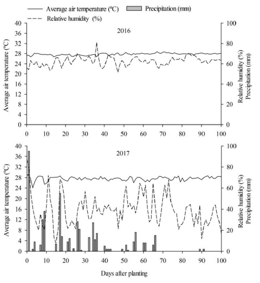 Mean values of the temperatures (&ordm;C), relative humidity (%) and precipitation (mm) in the two agricultural crops of sunflower. Mossor&oacute;, Rio Grande Norte State, Brazil, UFERSA, 2018. Source: INMET Automatic Weather Station and the rain gauge of the Rafael Fernandes Experimental Farm (UFERSA).