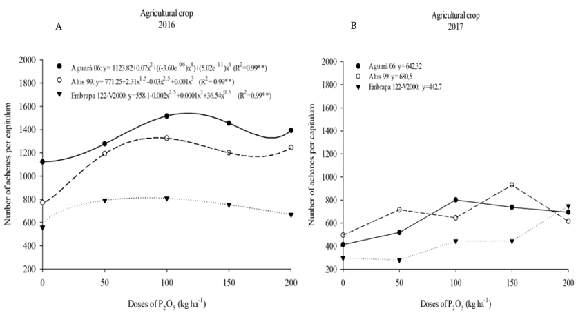 Number of achenes per capitulum of the sunflower plants in the 2016 (A) and 2017 (B) agricultural crops.