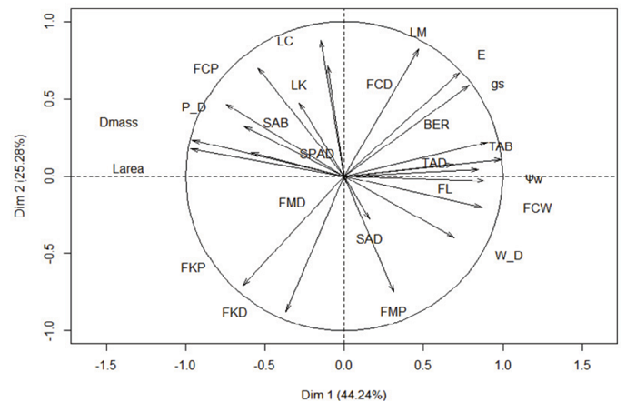 Relations among variables (PCA) shown by scatter plot of the first two principal components based on traits. The variables are BER - blossom-end rot, Dmass - dry mass, E - transpiration, FCD - fruit distal Ca2+, FCP - fruit proximal Ca2+, FCW - fruit distal cell wall Ca2+, FL - fruit length, FMD - fruit distal Mg2+, FMP - fruit proximal Mg2+, FKD - fruit distal K+, FKP - fruit proximal K+, gs - stomatal conductance, Larea - leaf area, LC - leaf Ca2+, LK - leaf K+, LM - leaf Mg2+, Ψw - leaf water potential, P_D - fruit proximal Ca2+ and distal Ca2+ relation, SAB - density of abaxial stomata, SAD - density of adaxial stomata, SPAD - SPAD index, TAB - density of abaxial trichomes, TAD - density of adaxial trichomes, and W_D - fruit distal cell wall-bound Ca2+ and distal Ca2+ relation.