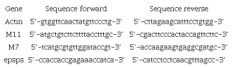 Genes and primer sequences of four genes used for RT-qPCR analysis in real time.