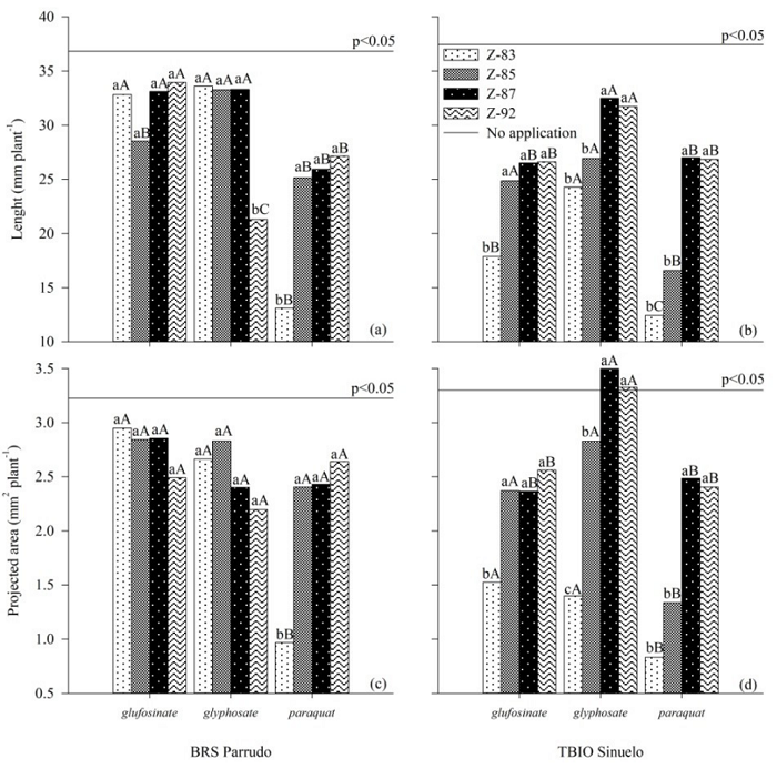 Shoot morphology: shoot length (a, b) and projected area (c, d) of wheat seedlings from plants desiccated in preharvest with nonselective herbicides (HER: glufosinate, glyphosate, and paraquat) in different phenological stages (PS: Zadoks 83, 85, 87, and 92). Distinct lowercase letters (PS deployed in each HER) and uppercase letters (HER deployed in each PS) differ from each other [Scott-Knott (p < 0.05)]. Contrast results [Scheff&eacute; (p < 0.05)] are between treatments with and without herbicide applications (p-value and ns).