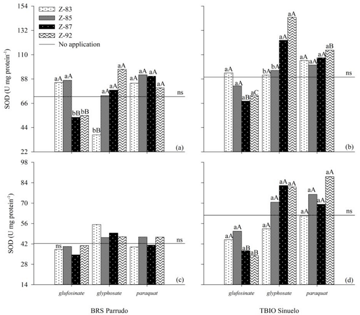 Superoxide dismutase enzyme activity in the shoot (a, b) and root (c, d) of wheat seedlings from plants desiccated in preharvest with nonselective herbicides (HER: glufosinate, glyphosate, and paraquat) in different phenological stages (PS: Zadoks 83, 85, 87, and 92). Distinct lowercase letters (PS deployed in each HER) and uppercase letters (HER deployed in each PS) differ from each other [Scott-Knott (p < 0.05)]. Contrast results [Scheff&eacute; (p < 0.05)] are between treatments with and without herbicide applications (p-value and ns).