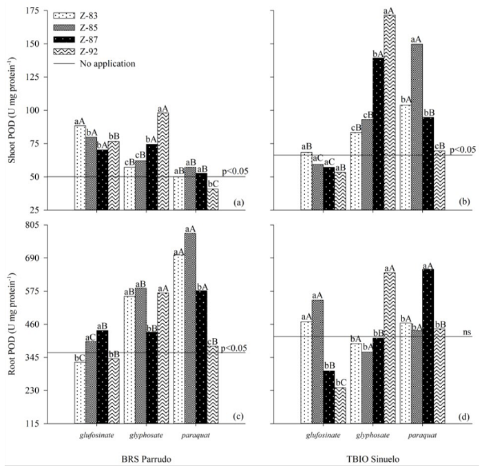 Guaiacol peroxidase enzyme activity in the shoot (a, b) and root (c, d) of wheat seedlings from plants desiccated in preharvest with nonselective herbicides (HER: glufosinate, glyphosate, and paraquat) in different phenological stages (PS: Zadoks 83, 85, 87, and 92). Distinct lowercase letters (PS deployed in each HER) and uppercase letters (HER deployed in each PS) differ from each other [Scott-Knott (p < 0.05)]. Contrast results [Scheff&eacute; (p < 0.05)] are between treatments with and without herbicide applications (p-value and ns).