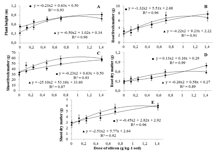 Relationship between silicon doses applied to the soil and melon growth of plants inoculated with Acidovorax citrulli. A) Plant height, B) root fresh matter, C) shoot fresh matter, D) root dry matter, and E) shoot dry matter. Melon hybrids AF 4945 () and Medellín ().