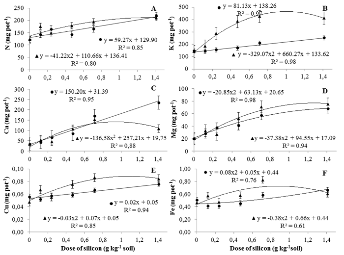 Relationship between silicon doses applied to the soil and the contents of nutrients in the shoots of melon plants inoculated with Acidovorax citrulli. A) N, B) P, C) Ca, D) Mg, E) Cu, and F) Fe. Melon hybrids AF 4945 () and Medellín ().