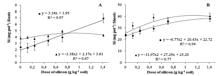 Relationship between silicon doses applied to the soil and the contents of silicon in the roots A) and shoots B) of melon plants inoculated with Acidovorax citrulli. Melon hybrids AF 4945 () and Medellín ().