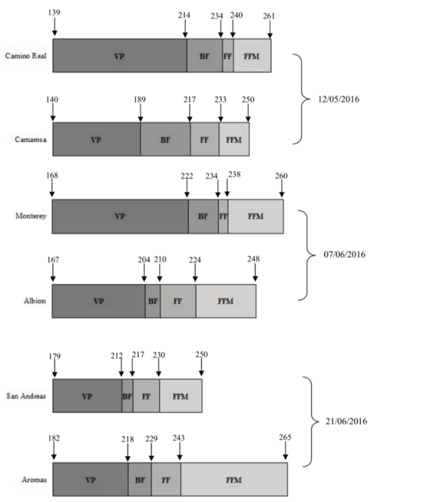 Vegetative and reproductive cycle, according to the strawberry phenological stages scale, represented by Julian days according to the transplant dates of the runner plants. V.P. = Vegetative Phase, B.F. = Beginning Flowering, F.F. = Full Flowering, F./F.M. = Fruit Formation and Maturation.