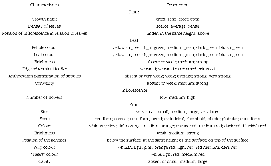 Characteristics of the strawberry cultivars according to the morphological descriptors (UPOV, 2012).