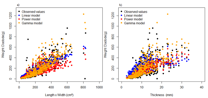 Relation of weight cladodes observed and adjusted by models independent of cladode order as a function of the explanatory variables product of length by width (a) and thickness (b).