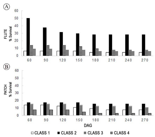 Survival percentage of Araucaria angustifolia grafts from the four welding classes for flute (A) and patch grafting (B) evaluated for 270 DAG.