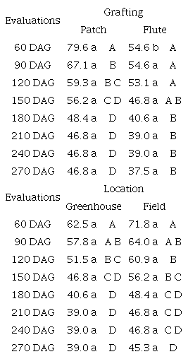 Survival percentage of Araucaria angustifolia grafts using the flute and patch grafting techniques in two locations (greenhouse and field) of rootstock establishment.
