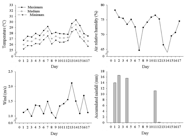 Temperatures: Maximum, average, and minimum (A); Relative air humidity (B); Wind speed (C); Rainfall (D), from 08/28 to 09/14. Porto Velho, Rond&ocirc;nia State, Brazil, 2014.