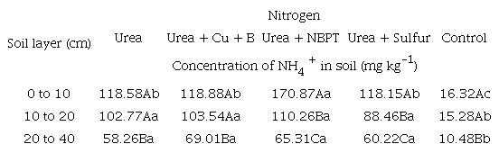 Ammonium concentration (NH4+) at three depths of a dystrophic Red-Yellow Latosol 360 h after application of urea with increased efficiency. Porto Velho, Rond&ocirc;nia State, Brazil, 2014.
