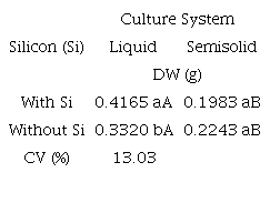 Plant dry weight (DW) of Musa spp. grown in liquid (TIS bioreactors) and semisolid (baby food jars) in vitro culture systems with or without silicon (Si) for36 days. Si was applied as potassium silicate (K2SiO3, 1 g L-1).