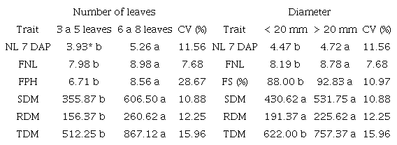 Number of leaves at 7 days after planting (NL 7 DAP), final number of leaves (FNL), final plant height (FPH), shoot dry matter (SDM), root dry matter (RDM), total dry matter (TDM) and final survival percentage (FS%) of cassava seedlings from stem cuttings smaller (< 20 mm) and larger (> 20 mm) than 20 mm in diameter and with 3 to 5 and 6 to 8 leaves.