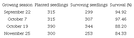Number of cassava seedlings generated from the adapted rapid multiplication method planted and surviving in four growing seasons.