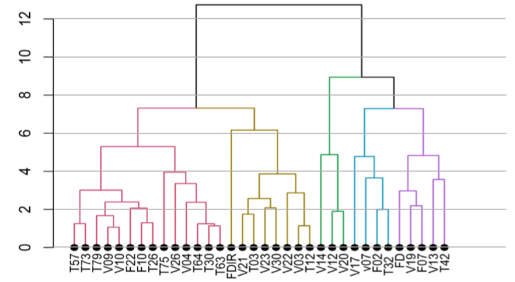 Dissimilarity dendogram of growing and yielding characteristics of 34 cactus genotypes. Data source: Authors.