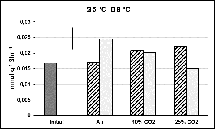 In vitro ACC synthase activity in mesocarp tissue of cv. Tommy Atkins mangoes at the beginning of storage and after 14 days in air, 10% CO2 or 25% CO2 mixed to 5% O2 at 5 or 8&deg;C (Vertical bar = LSD at p < 0.05 = 0.00615 nmol g-1 3h-1).