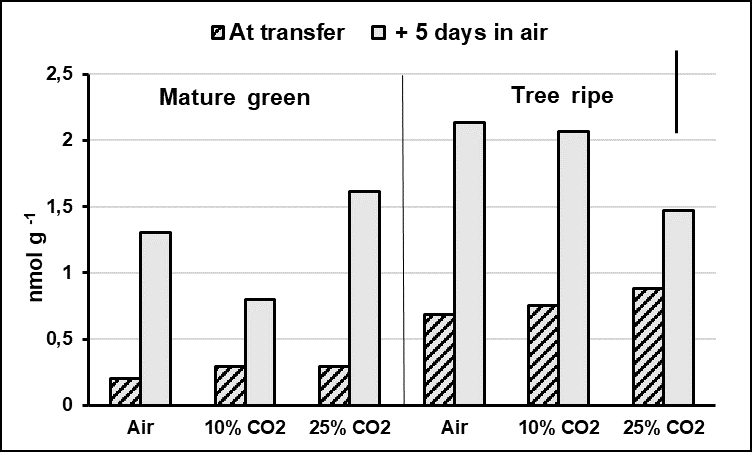 ACC concentrations in mesocarp tissue of mature green and tree ripe cv. Tommy Atkins mangoes at transfer from a 21-day storage period in air, 10% CO2 or 25% CO2 mixed to 5% O2 in a flow through system at 12&deg;C and five more days in air (Vertical bar = LSD at p < 0.05 = 0.767 nmol g-1).