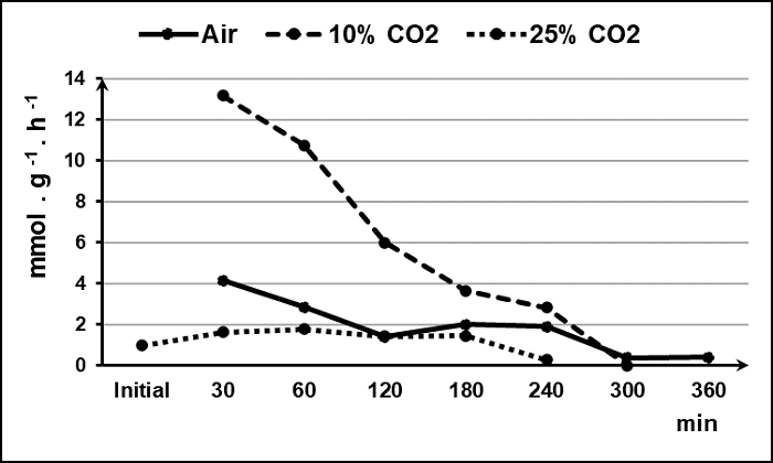 Ethylene production rates of cv. Tommy Atkins mangoes stored for 4 or 6 hours in air, 10% CO2 or 25% CO2 mixed to 5% O2 at 8&deg;C (LSD at p < 0.05 = 0.841 mmol g-1 h-1).