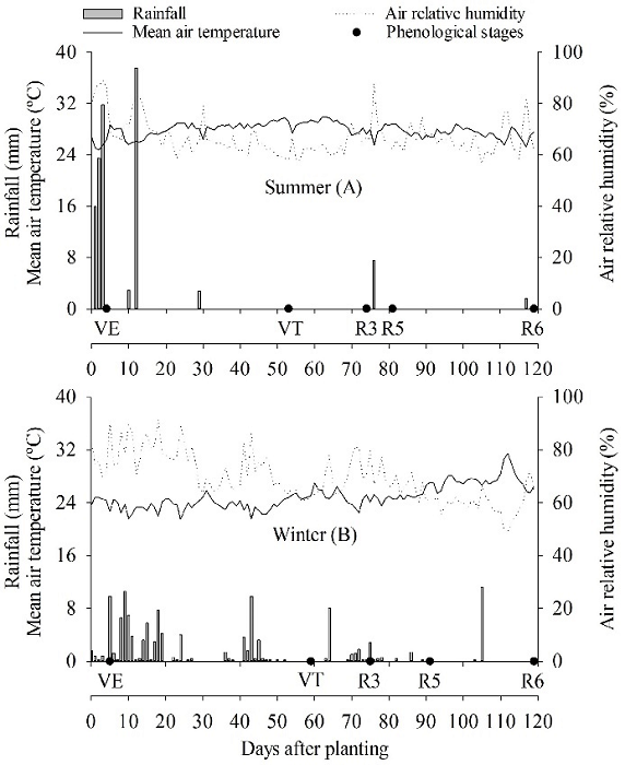 Values of accumulated rainfall, mean air temperature, and relative air humidity and an indication of the phenological stage (VE - emergence, VT - flowering male, R3 - milky grains, R5 - farinaceous grains, R6 - physiological maturity) of corn fertigated with doses of nitrogen in the summer (A) and winter (B) crops.