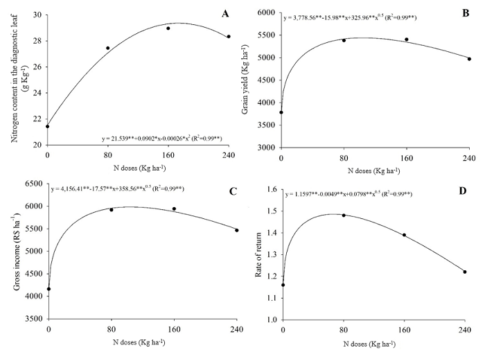 N content in the diagnostic leaf (A), grain yield (B), gross income (C), and rate of return (D) of corn fertigated with N doses.