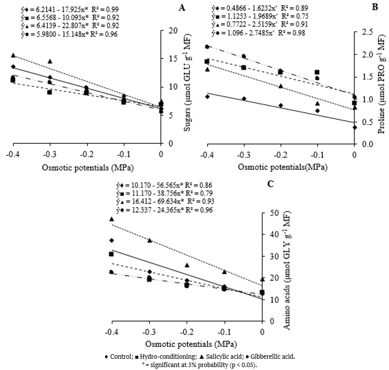 Sugar (A), proline (B), and amino acid (C) contents of Salvia hispanica L. seedlings subjected to seed priming with different attenuators and osmotic potentials. 