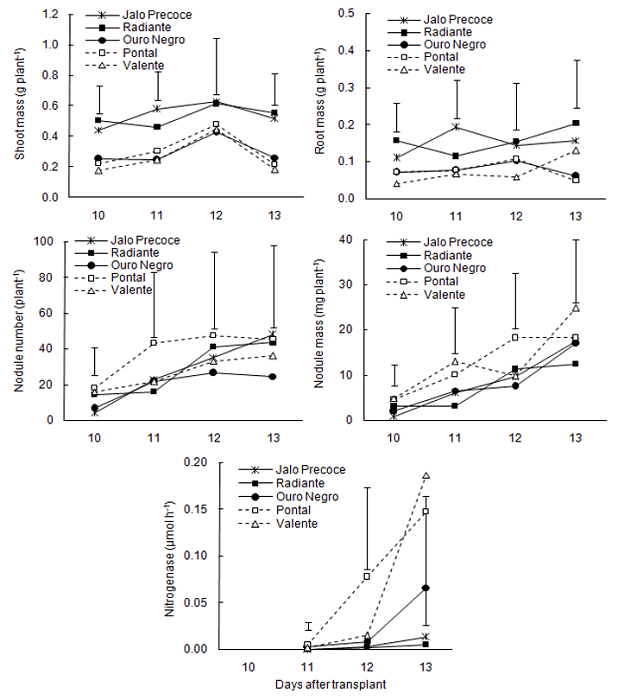 Shoot dry mass, root dry mass, nodule number, nodule dry mass, and nitrogenase activity in the root system of five common bean cultivars (Jalo Precoce, Radiante, Ouro Negro, Pontal, and Valente) that were inoculated with rhizobium and grown in a nitrogen-free nutrient solution at harvesting dates of 10, 11, 12, and 13 days after transplanting in Experiment I. The vertical bars represent the least significant differences by Tukey test at 5% significance and compare the cultivars within each harvesting date.