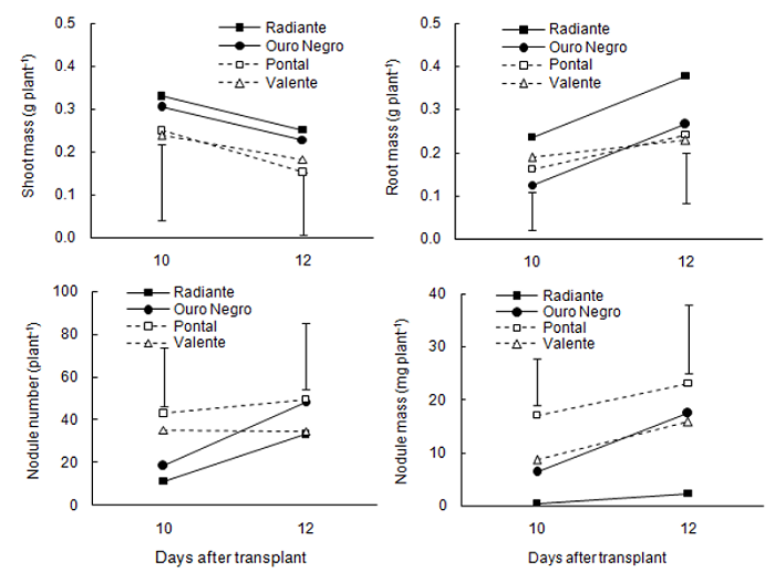 Shoot dry mass, root dry mass, nodule number, and nodule dry mass of four common bean cultivars (Radiante, Ouro Negro, Pontal, and Valente) that were inoculated with the rhizobium and grown in a nitrogen-free nutrient solution at harvesting dates of 10 and 12 days after transplanting in Experiment II. The vertical bars represent the least significant differences by Tukey test at the 5% significance level and compare cultivars within each date.