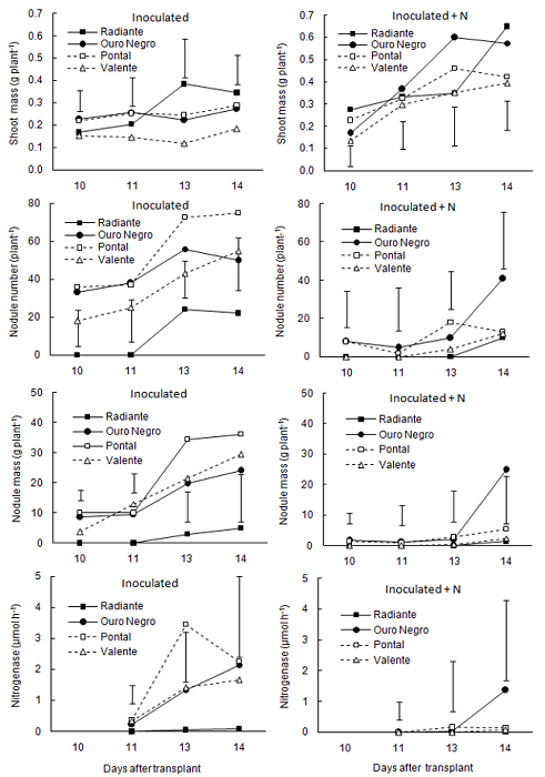 Shoot dry mass, nodule number, nodule dry mass, and nitrogenase activity in the root system of four common bean cultivars (Radiante, Ouro Negro, Pontal, and Valente) that were grown in a nutrient solution with two nitrogen sources (inoculated with the rhizobium or inoculated + mineral nitrogen), at harvesting dates of 10, 11, 12, and 13 days after transplanting in Experiment III. The vertical bars represent the least significant differences by Tukey test at the 5% significance level and compare the cultivars within each date.