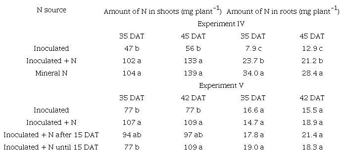 Amount of nitrogen (N) accumulated in the shoots and roots of the common bean plants Ouro Negro cultivar using three N sources (inoculated with the rhizobium, inoculated + N, and mineral N) during Experiment IV, as well as using four N sources (inoculated, inoculated + N, inoculated + N after 15 days after transplanting, and inoculated + N until 15 days after transplanting) during Experiment V, at two harvesting dates in days after transplanting (DAT). Means followed by the same letter within a column and within each experiment do not differ significantly according to Tukey test at the 5% significance level.