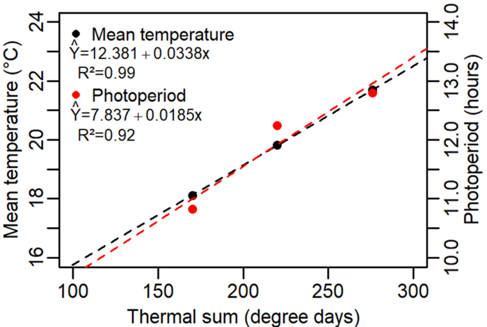 Relationship between the thermal with the mean temperature and photoperiod during the emergence to onset of tuberization (EME - OT) phase in the three growing seasons of yacon. 