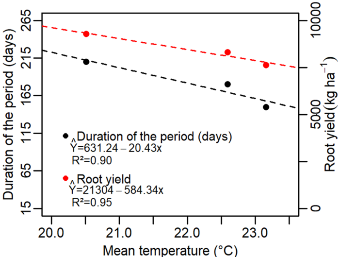Relationship of the mean air temperature with the duration of the period and the root yield in dry matter (kg ha-1) from emergence to maturation in the three growing seasons of yacon.
