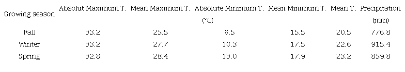 Values of the maximum, minimum, and mean temperatures as well as the accumulated precipitation from the emergence to the maturation period in the different growing seasons of yacon in Ibatiba, Esp&iacute;rito Santo1.