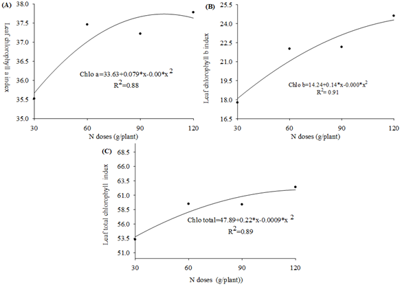 Leaf indexes of chlorophyll ‘a’ (A), ‘b’ (B) and total (C) of apple cv. ‘Julieta’ as a function of N and K fertigation in tropical semiarid.