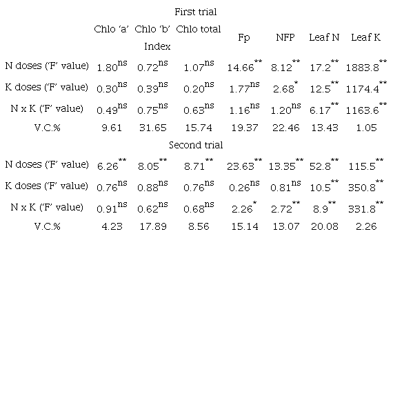 Variance analysis resume for leaf chlorophyll index (Chlo ‘a’, Chlo ‘b’ and Total Chlo.), fruit production (Fp), number of fruits per plant (NFP), leaf N concentration (Leaf N) and leaf K concentration (Leaf K) of apple cv. ‘Julieta’ as a function of N and K fertigation in tropical semiarid.