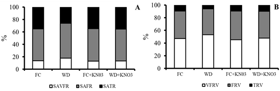 Root morphometry of sorghum plants subjected to water stress and treated with KNO3 at pre-flowering. SAVFR: surface area of very fine roots; SAFR: surface area of fine roots; SATR: surface area of thick roots - A. VVFR: Volume of very fine roots; VFR: Volume of fine roots; VTR: Volume of thick roots - B. FC = field capacity; WD = water deficit; FC + KNO3 = field capacity + KNO3; WD + KNO3 = water deficit + KNO3.