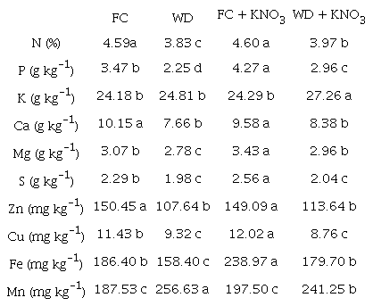 Concentration of macro- and micronutrients in the leaves of sorghum plants subjected to water deficit and treated with KNO3 at pre-flowering.