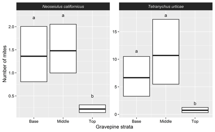 Pairwise comparisons of the average number of Tetranychus urticae and Neoseiulus californicus observed on the three different strata on grapevine leaves. Notes: Different letters indicate a significant difference (p < 0.001). Mean estimated via bootstrapping (999 repetitions) &plusmn; standard deviation.