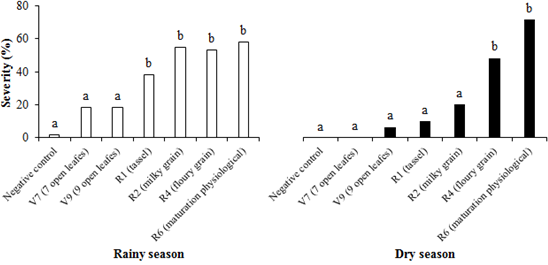 Severity of corn ears from plants inoculated with Fusarium verticillioides at different phenological stages. 1Means followed by the same letter do not differ from each other by the Scott Knott test at a significance level of 5%.