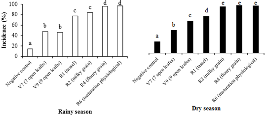 Incidence of Fusarium verticillioides on grains from corn plants inoculated at different phenological stages in two seasons. Gurupi, state Tocantins. 1Means followed by the same letter do not differ from each other by the Scott Knott test at a significance level of 5%.