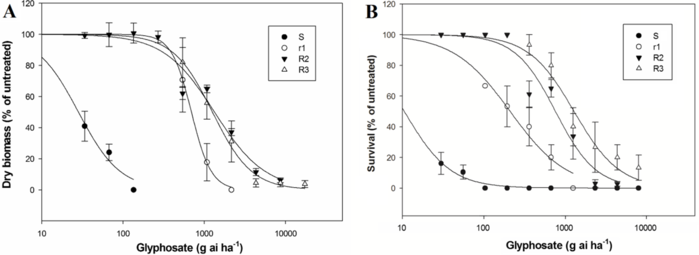 In vivo dose-response curves with glyphosate in A. palmeri populations. Plants of r1, R2, R3 and S biotypes were subjected to the application of different doses of glyphosate. Results are expressed as a percent of dry biomass (A) and survival rate (B) in comparison to untreated control groups.