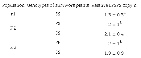 TSR characterization for GR. P106S substitution was present in r1, R2 and R3 populations and there was not any significant increase of EPSPS copy number. P and S indicate a Proline or a Serine residue at position 106 of EPSPS, respectively.