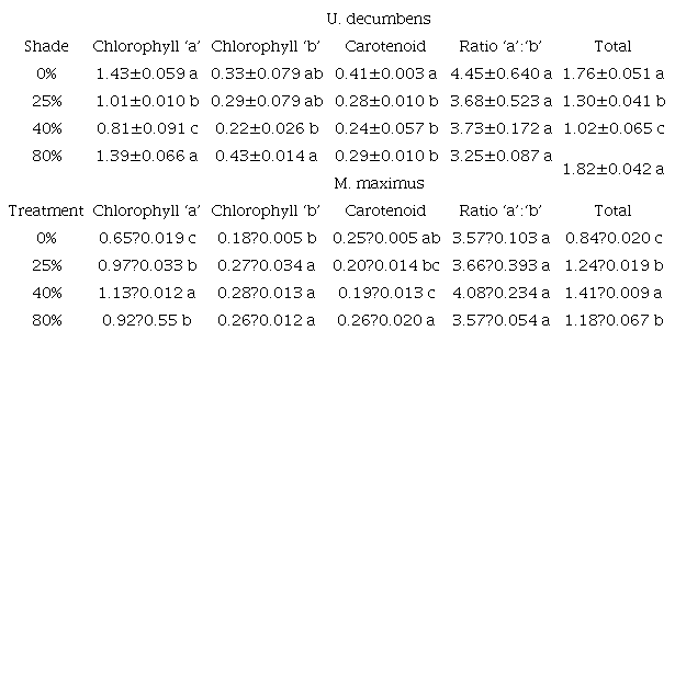 Leaf pigments (μg mg-1 FW) of Urochloa decumbens and Megathyrsum maximus plants growing in different shade levels.
